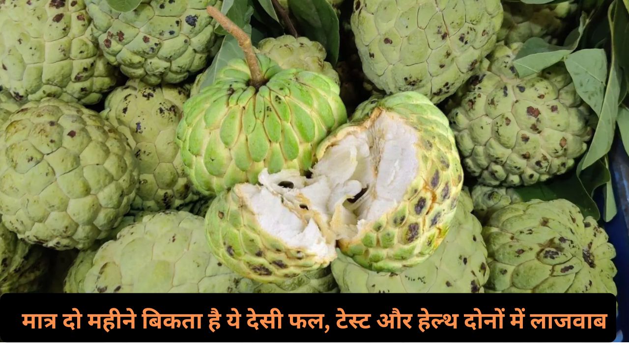 Custard Apple Benefits