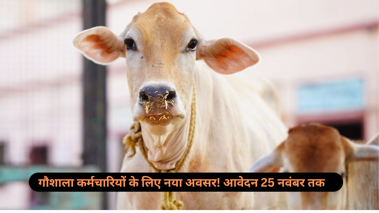 Start up India: गौशालाओं में नौकरी का मौका! बीपीएनएल भर्ती 2024 के लिए आज ही आवेदन करें।