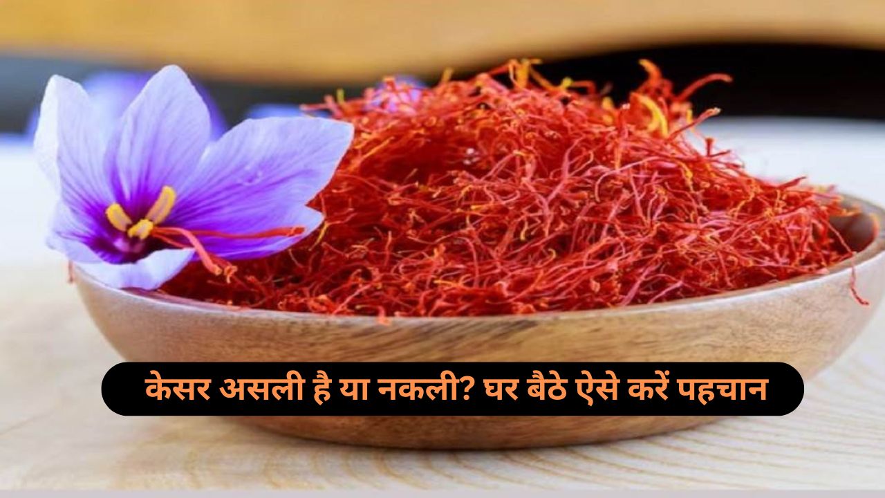 Saffron quality check: क्या आप जानते हैं असली और नकली केसर में फर्क कैसे करें? जानिए 5 आसान तरीके!