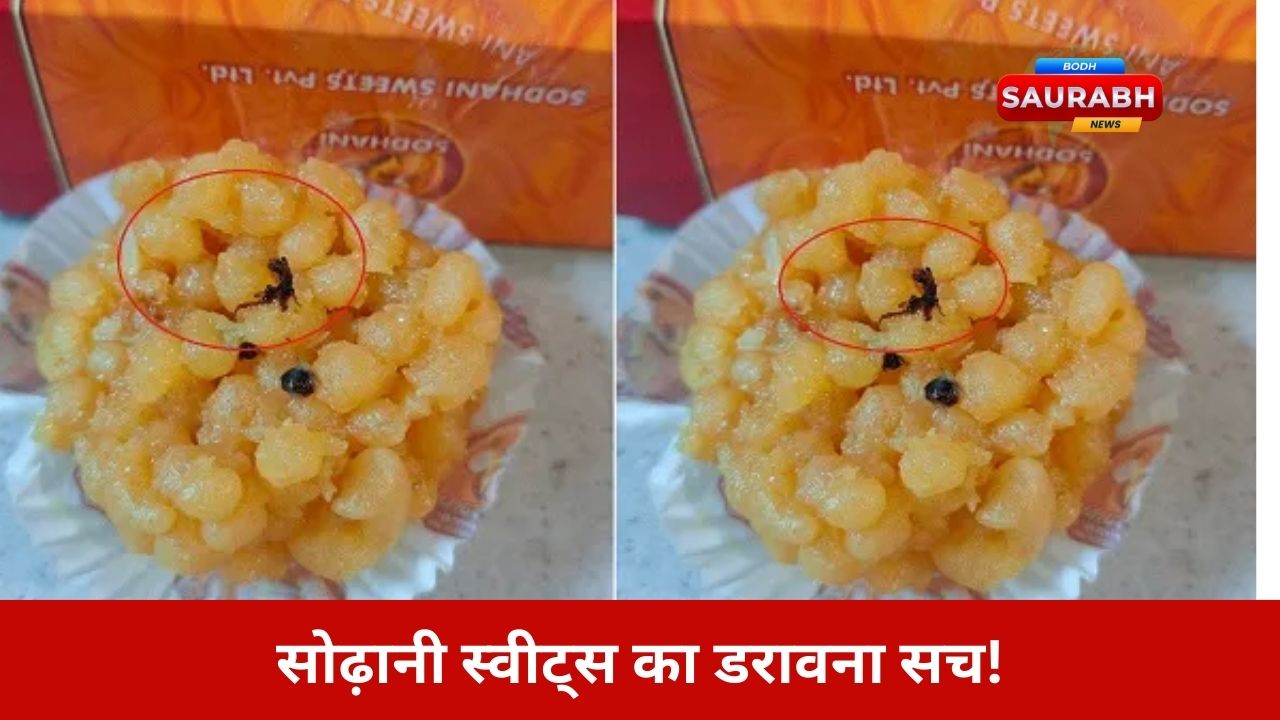 लड्डू में कीड़ा मिला! सोढ़ानी स्वीट्स की लापरवाही, प्रशासन की निष्क्रियता पर उठे सवाल