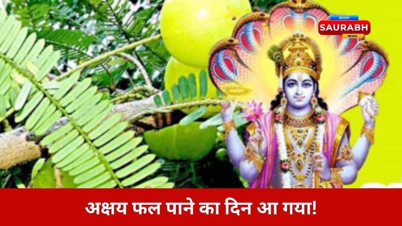 Amla Navami: आंवला नवमी पर खुलेंगे किस्मत के बंद दरवाज़े, देवी लक्ष्मी करेंगी अक्षय धन की वर्षा