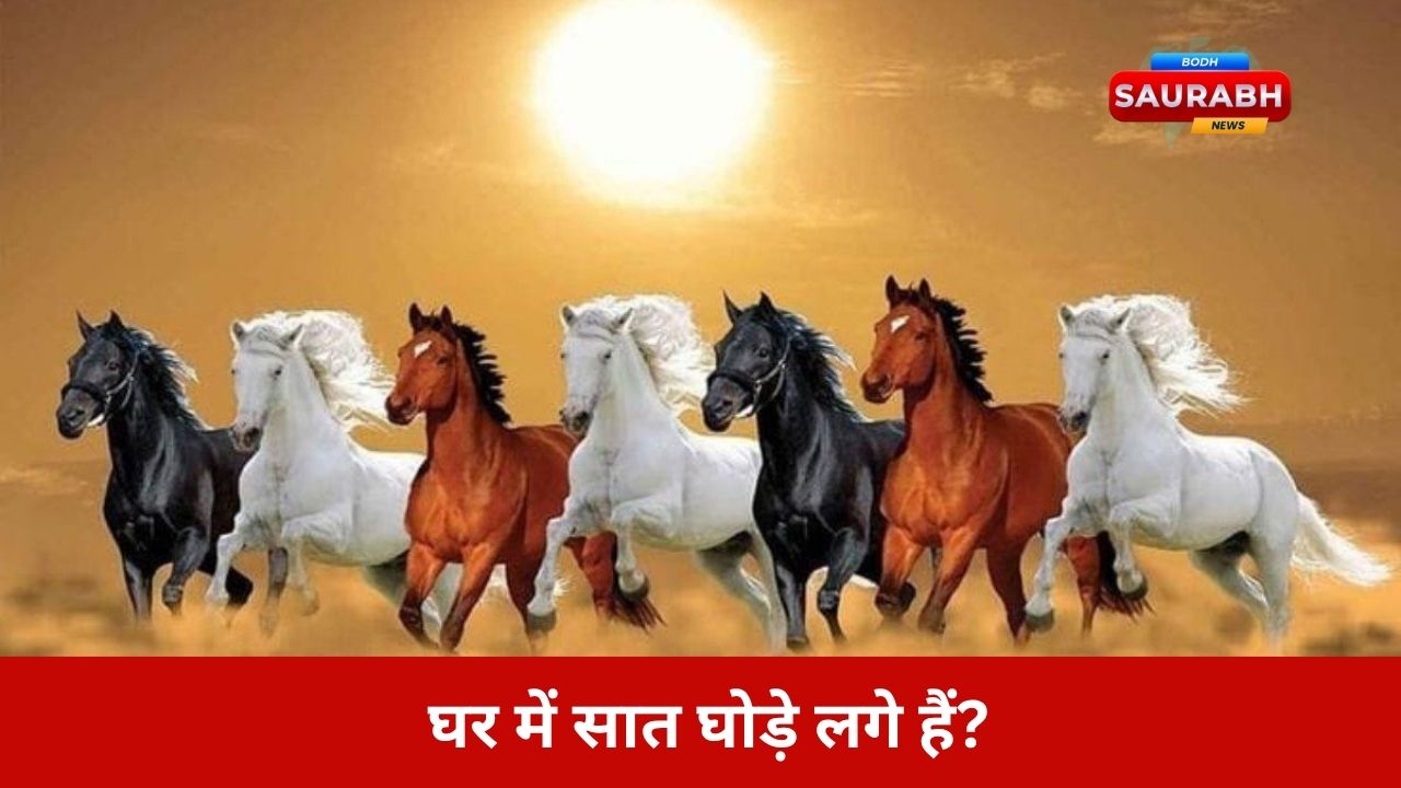 क्या आपकी तरक्की इसलिए रुकी है क्योंकि सात घोड़ों की तस्वीर में एक ऐसा दोष छिपा है जो हर शुभ काम बिगाड़ देता है?