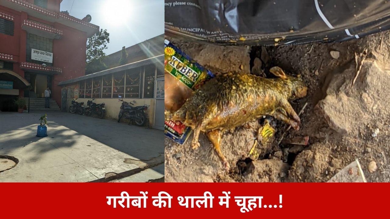 SMS Hospital की अन्नपूर्णा रसोई में दाल के अंदर चूहा, गरीबों की थाली में जहर! सरकार की चुप्पी पर बड़ा सवाल